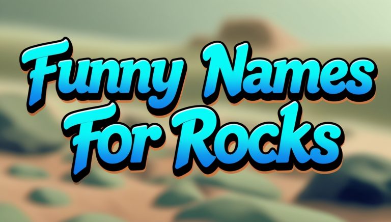 201+ Funny Names For Rocks With Meanings [2025]